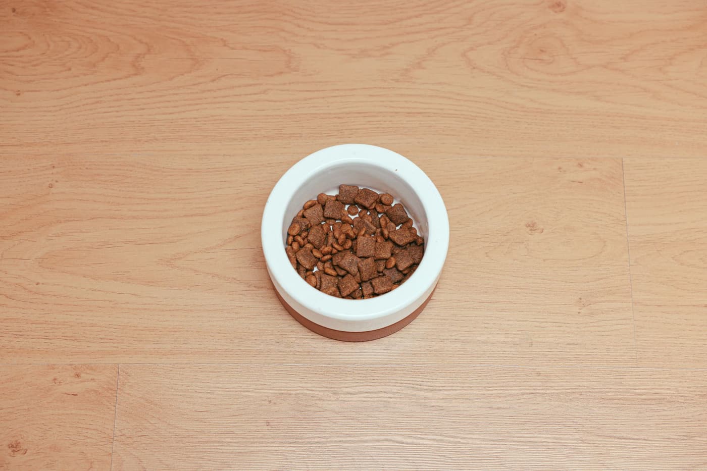 Combien de croquettes donner à un chat par jour